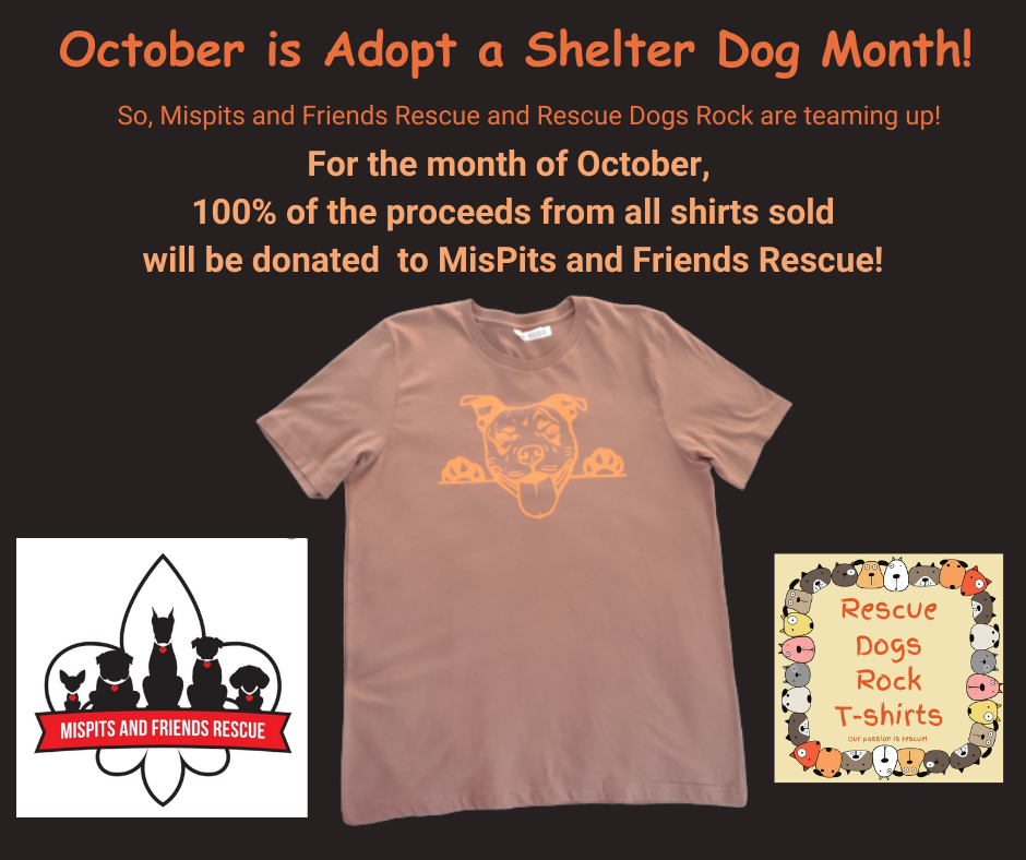 MisPits and Friends Fall Fundraiser